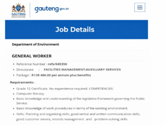 Department of Environment general worker cleaning public park South Africa