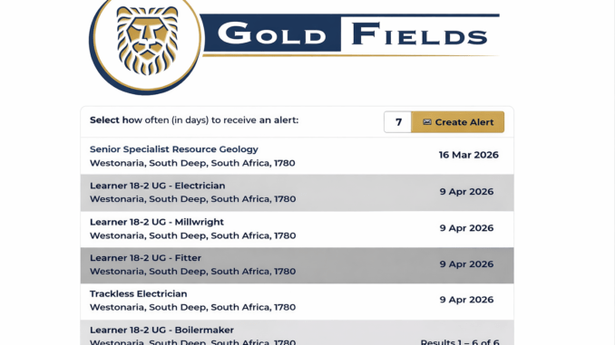 4b6453e3-1e37-4ad3-b3cc-f725ce9783c7 Gold Fields mining internship learners training underground in South Africa
